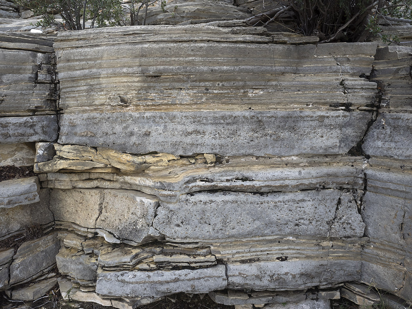 Fossil-rich limestone strata in McKittrick Canyon.