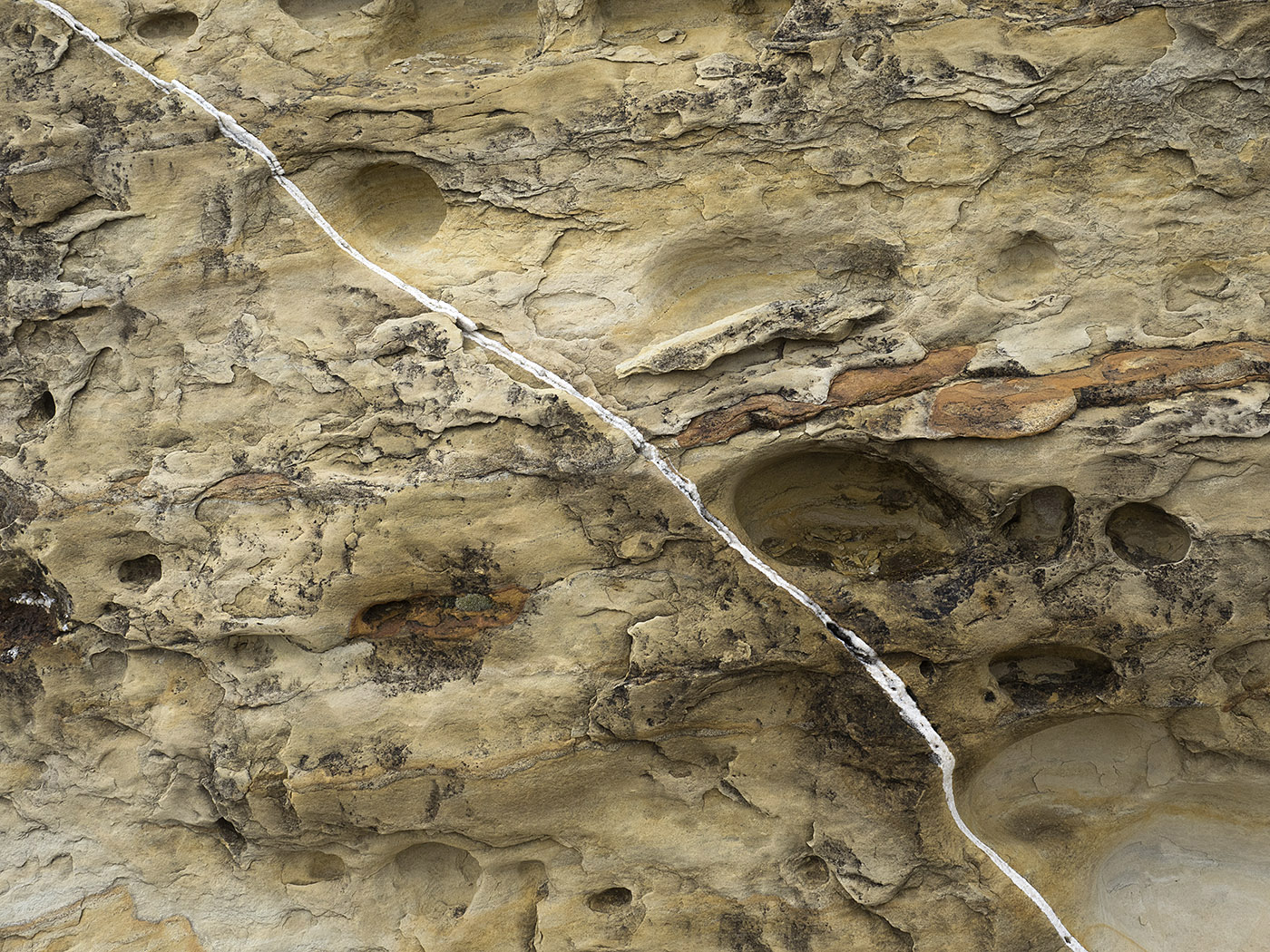 Calcite vein in limestone.  McKittrick Canyon, Guadelupe Mountains National Park