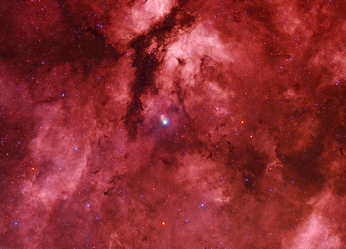IC 1318 Cygnus Nebula