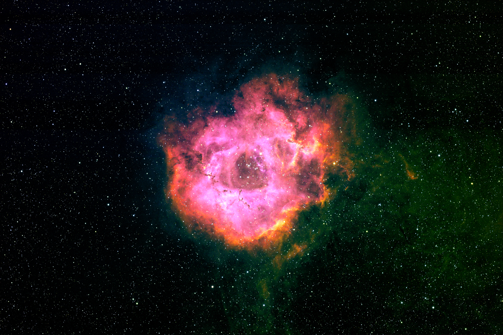 Rosette nebula narrow band