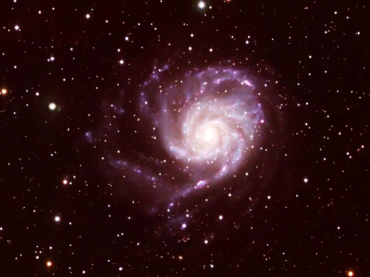 M101