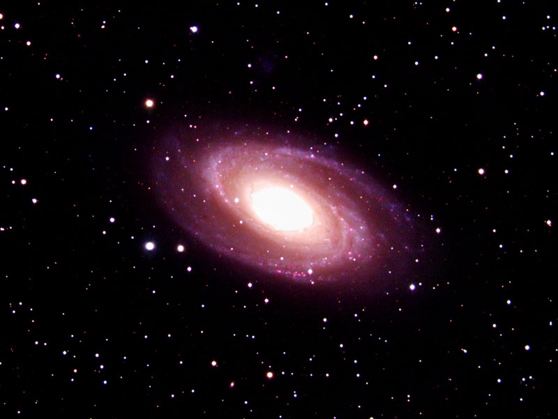M81