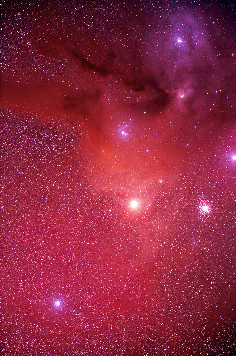 Rho Ophiuchus and Antares
