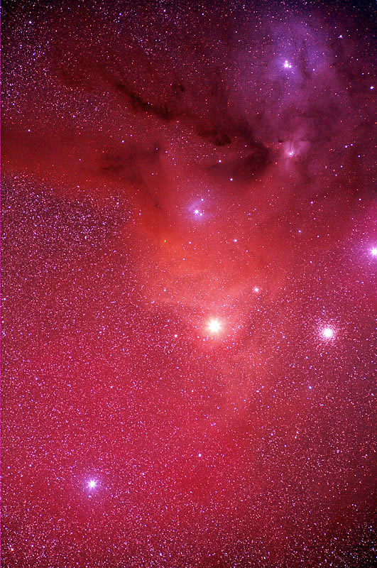 Rho Ophiuchus and Antares