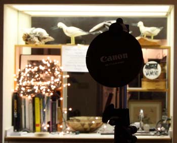 08_24_16-35II_8.0_IMG_0827