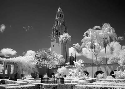 03_balboa_irIMG_6671-3