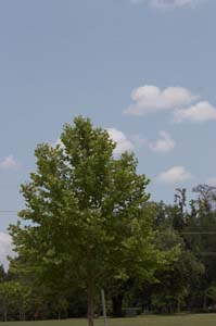 01_IMG_3123_nofilter