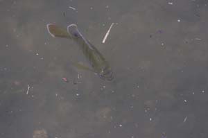 05_IMG_3168_no filter