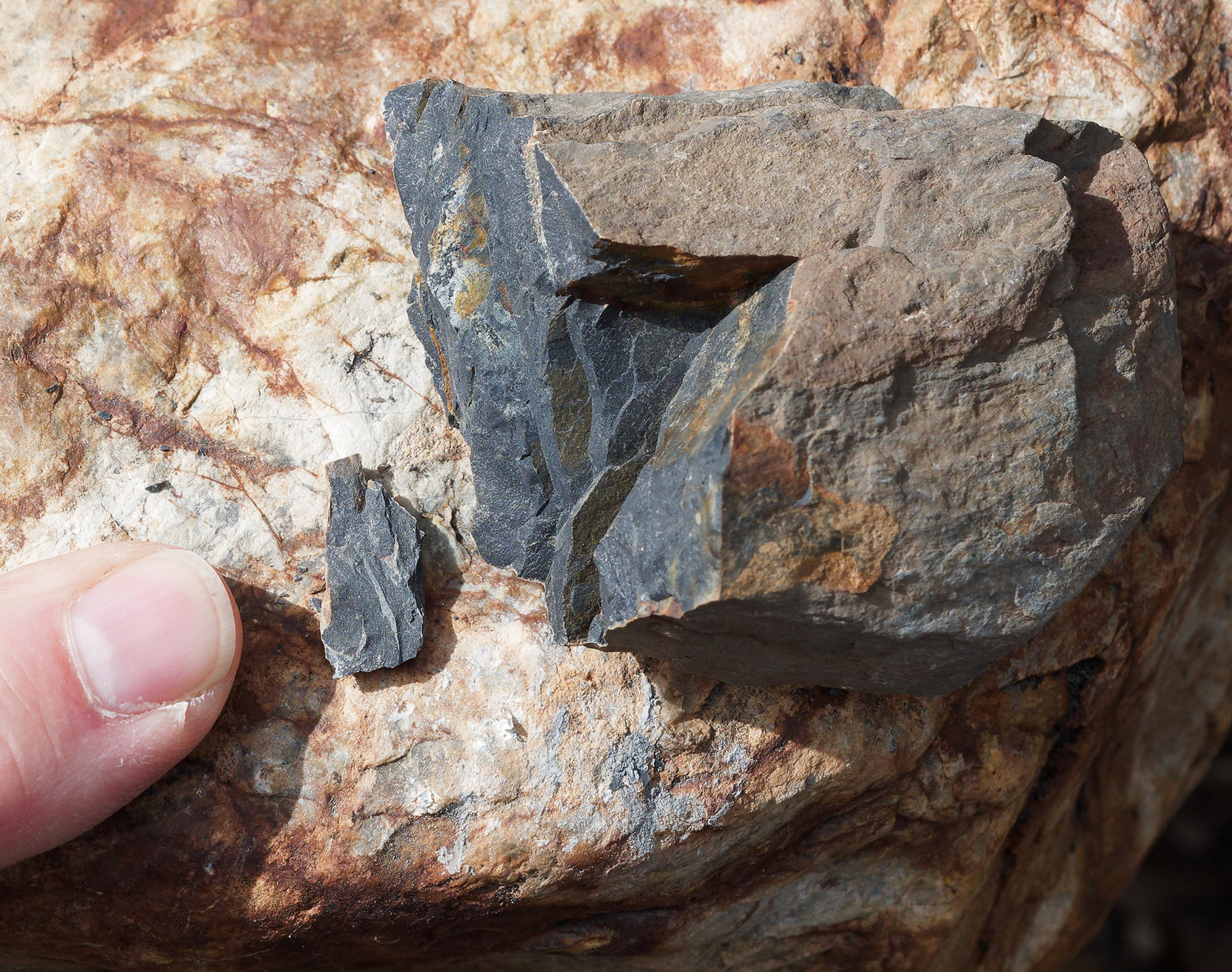 Slate, at base of Sevehah Cliff, Convict Lake