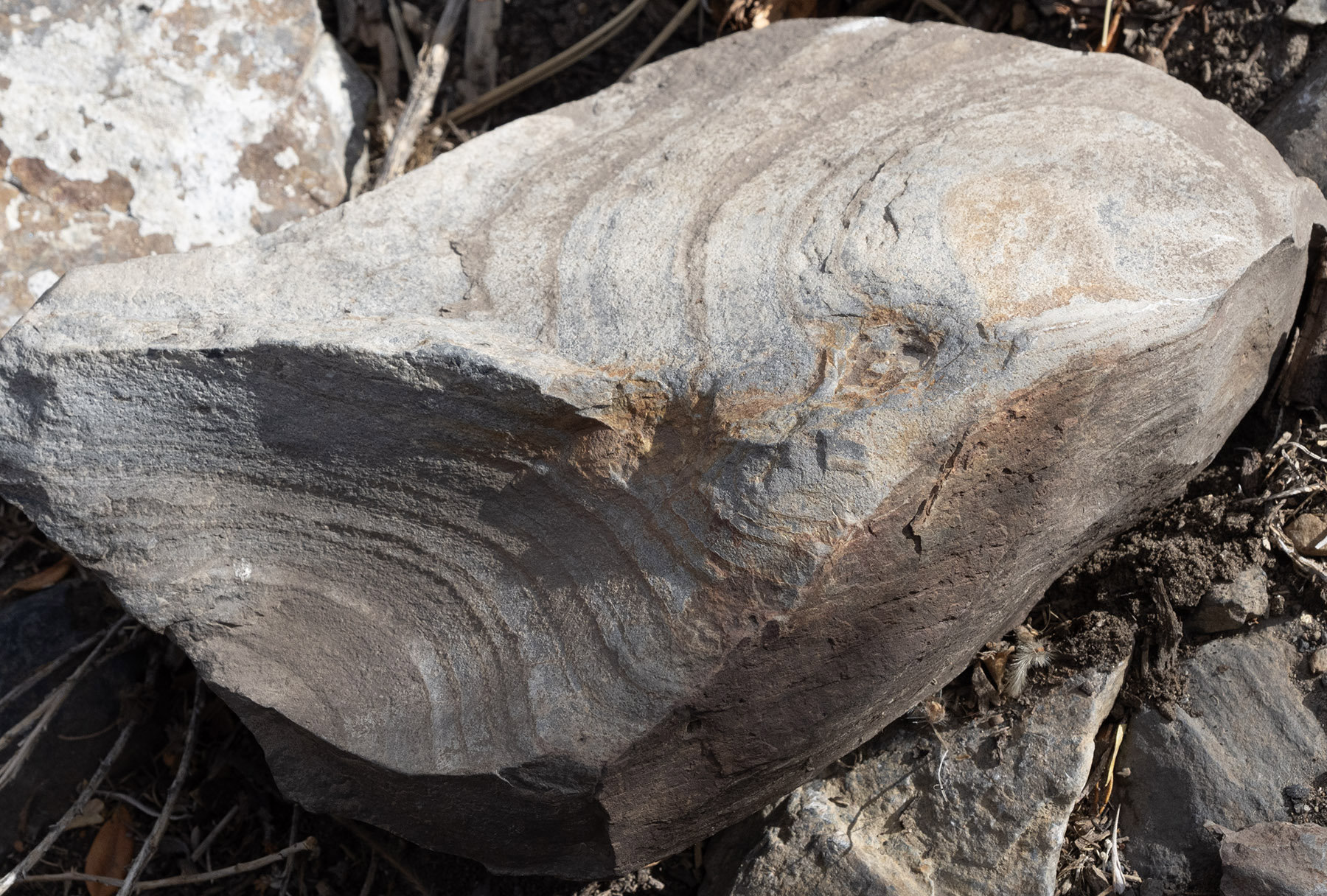 Weathered sandstone, Convict Lake