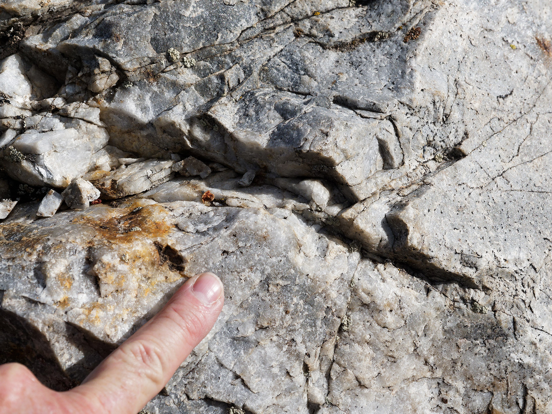 Quartzite-rich metamorphic rock, at base of Sevehah Cliff, Convict Lake