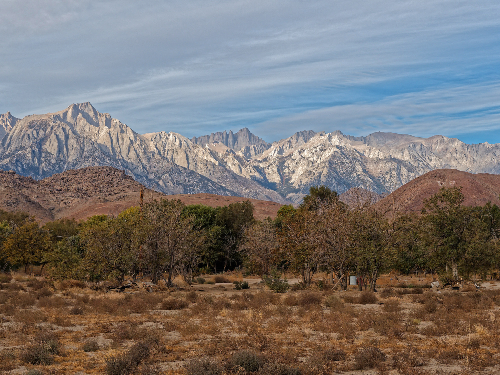 The view looking West from Lone Pine with Mt. Whitney in the distant center and trees and Alabama Foothills in the foreground..