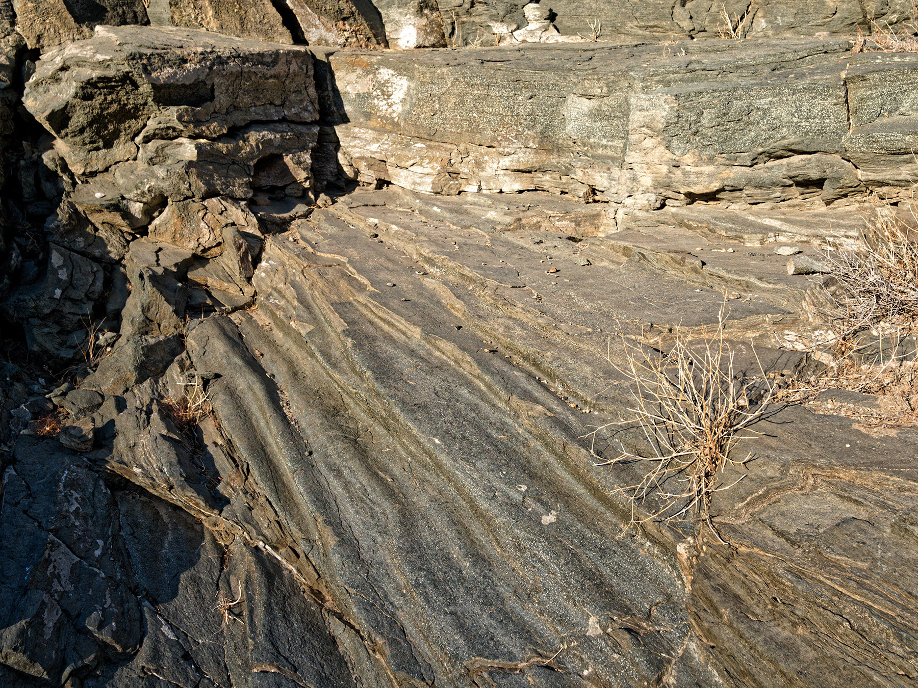 Orocopia Schist at Shavers Well.  This is metamorphic rock formed from graywacke, mudstone and volcanic rocks deposited on the seafloor of the Farallon Plate during late Mesozoic and early Cenozoic time (70-20 Ma).