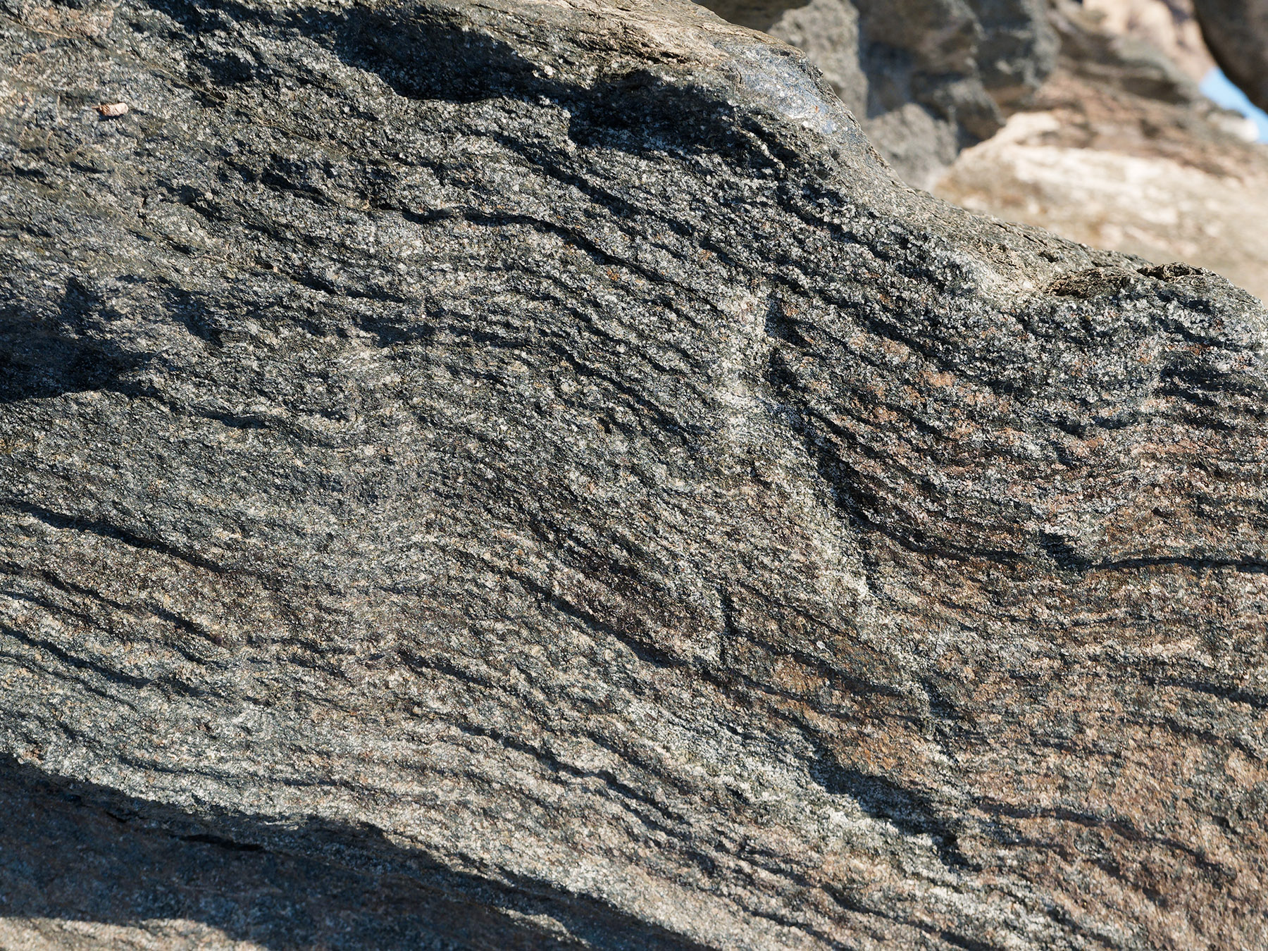 Detail of Orocopia Schist showing foliation.