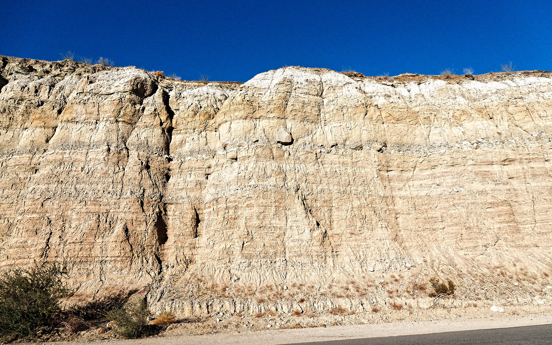 Road cut along Box Canyon Road exposes layers of alluvial deposits from streams that were deposited over the last 6 million years.