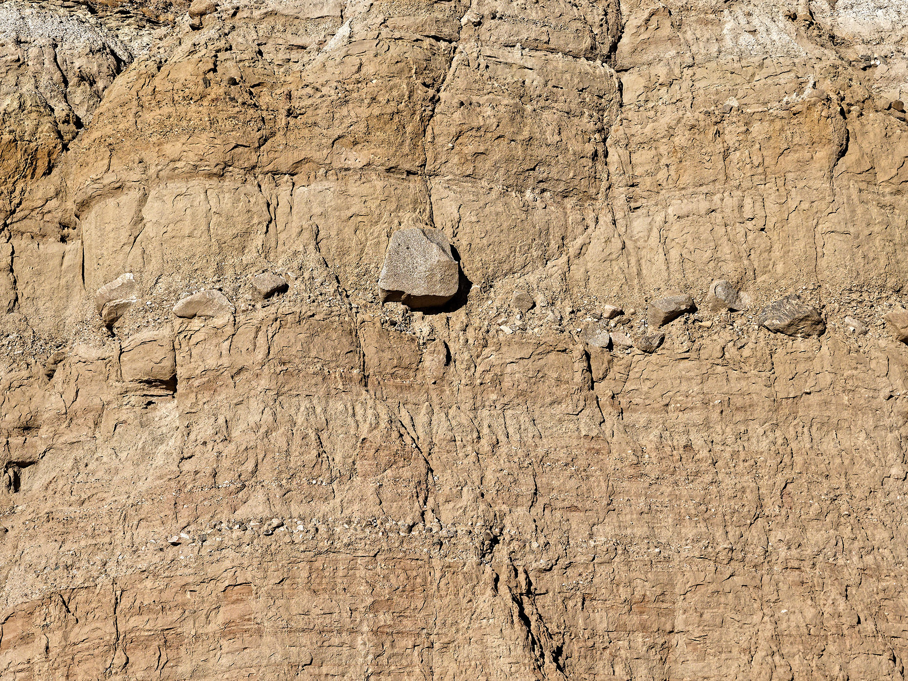 Detail of alluvial fan deposits with granite boulders, gravel and sand layers along the road cut of Box Canyon Road.