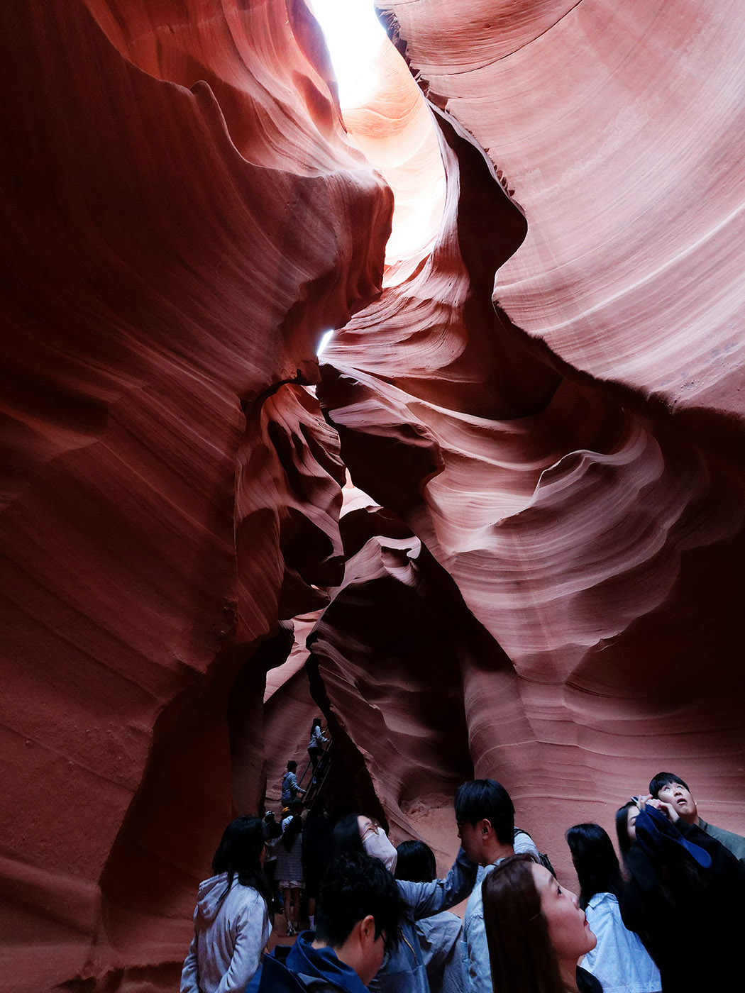 Lower Antelope Canyon Tour.  I took the earliest 6:45AM tour.  A Japanese tour of about 45 was broken up into three groups of 15 and I went through in the middle with my tour guide.  This was run by Dixie’s Lower Antelope Canyon Tours.  Photography tours through the canyon are no longer offered.