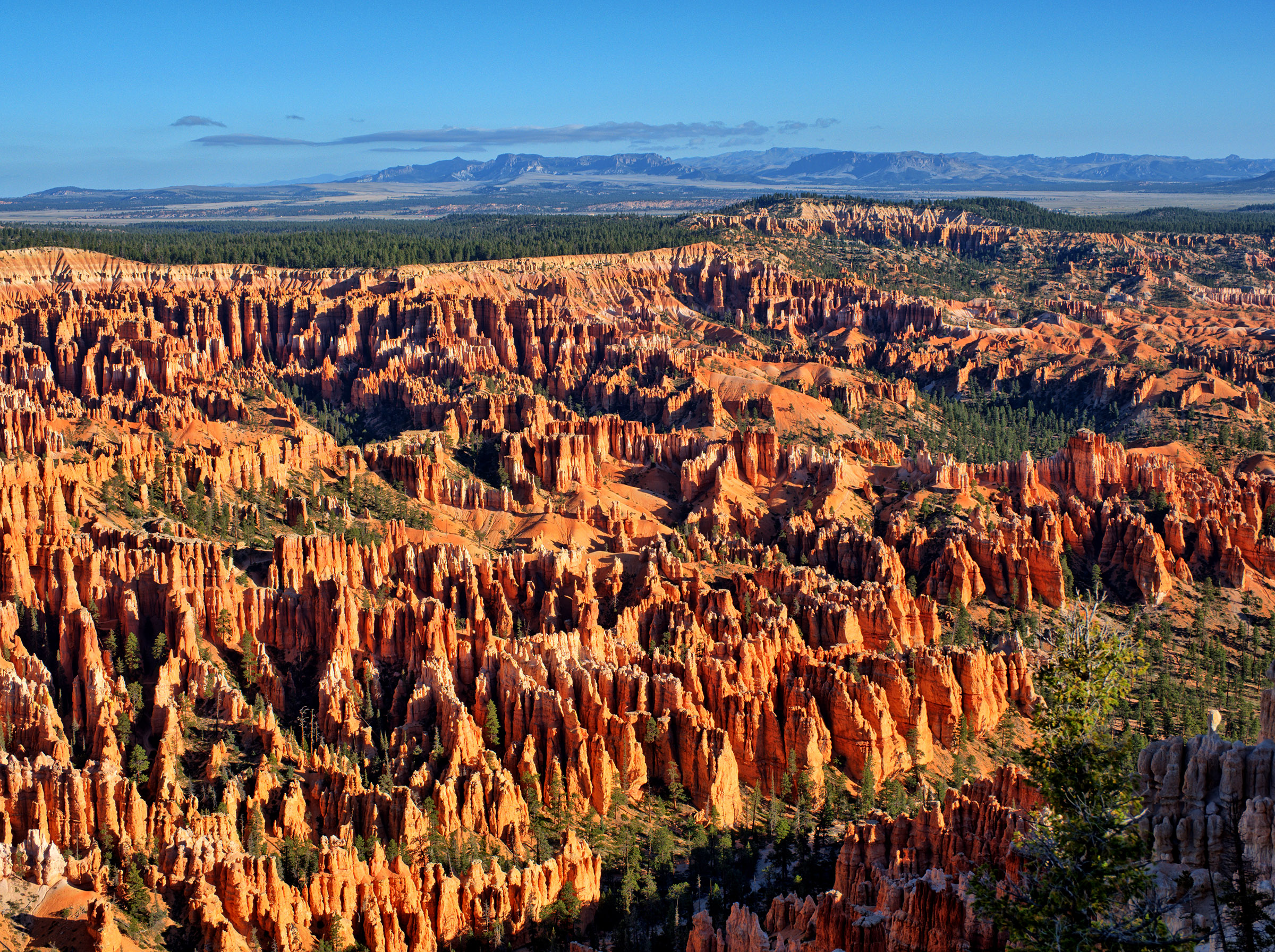 Bryce Canyon Amphitheater viewed from Bryce Point.  Myriad hoodoos formed by differential erosion of Claron Formation sedimentary deposits.  Claron formation formed by sedimentary layer erosion 50 million years ago over limestone, sandstone and siltstone and by deposition in a freshwater lake.  Lake sediments solidified to Claron Formation, a soft sedimentary layer rich in iron and manganese which imparts the red and pink colors seen in the formation.  In the far background is the Table Cliff Plateau.