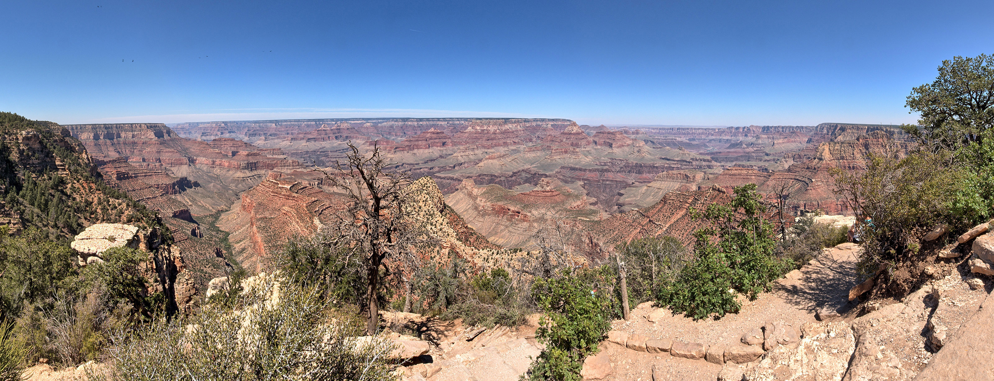 Grand Canyon panorama viewed from Grandview Point.