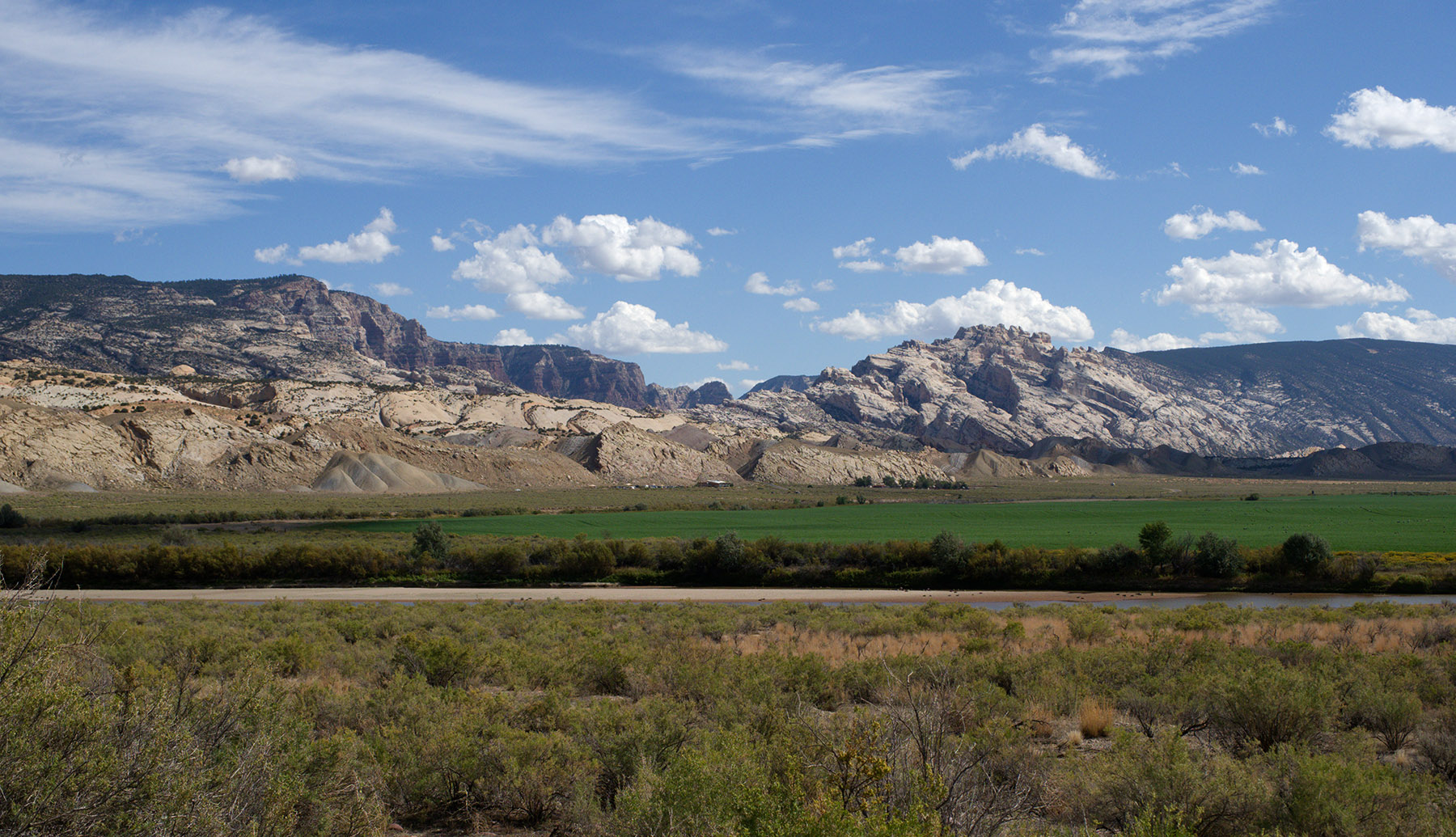 Strata of Dinosaur National Monument in the distance.