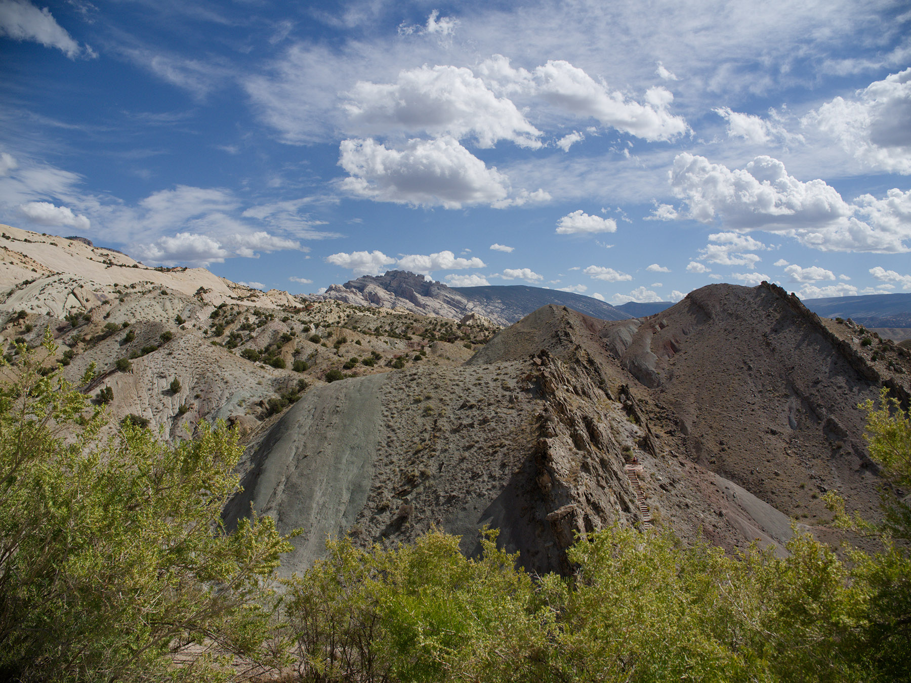 Jurassic Period strata in Dinosaur National Monument.