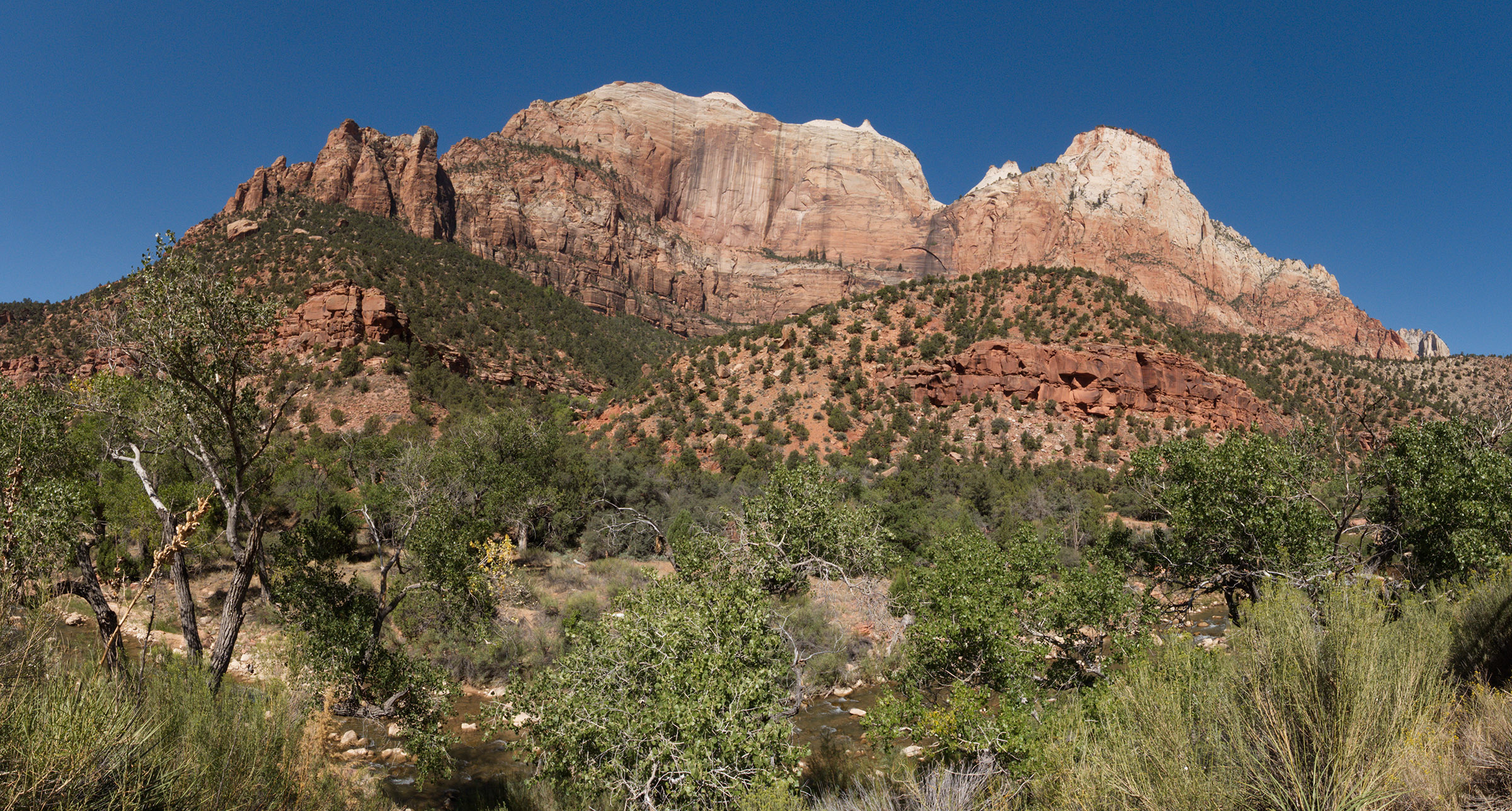 View from Canyon Junction with lighter Navajo Sandstone formed during the Jurassic period at the peaks and softer sedimentary layers of mudstone; siltstone and limestone formed during the Jurassic; Triassic and Permian Periods.; The Virgin River at the bottom of the field has eroded through the softer layers.