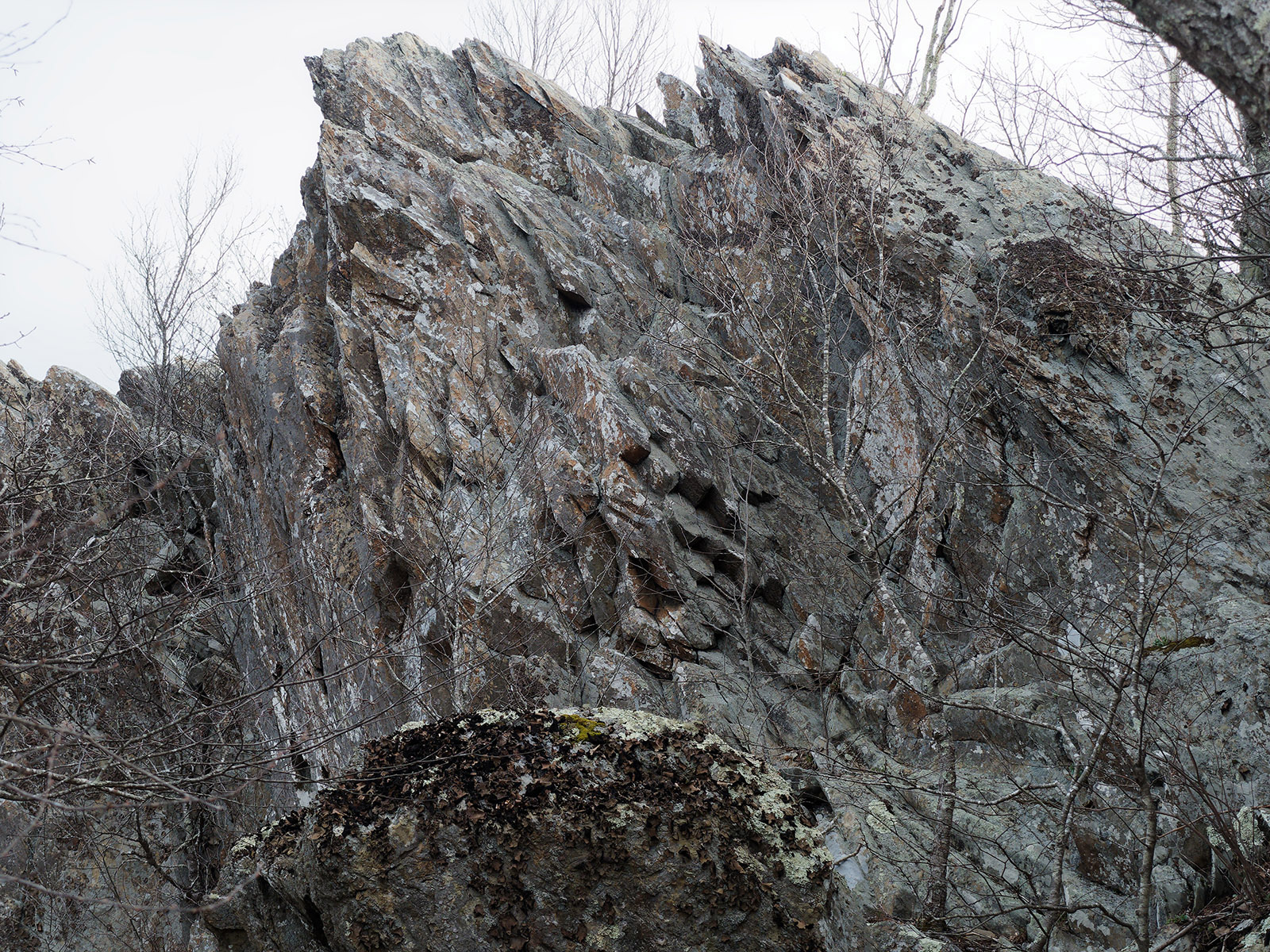 Heavily weathered and tilted columnar metabasalt.  Bearfence mountain.