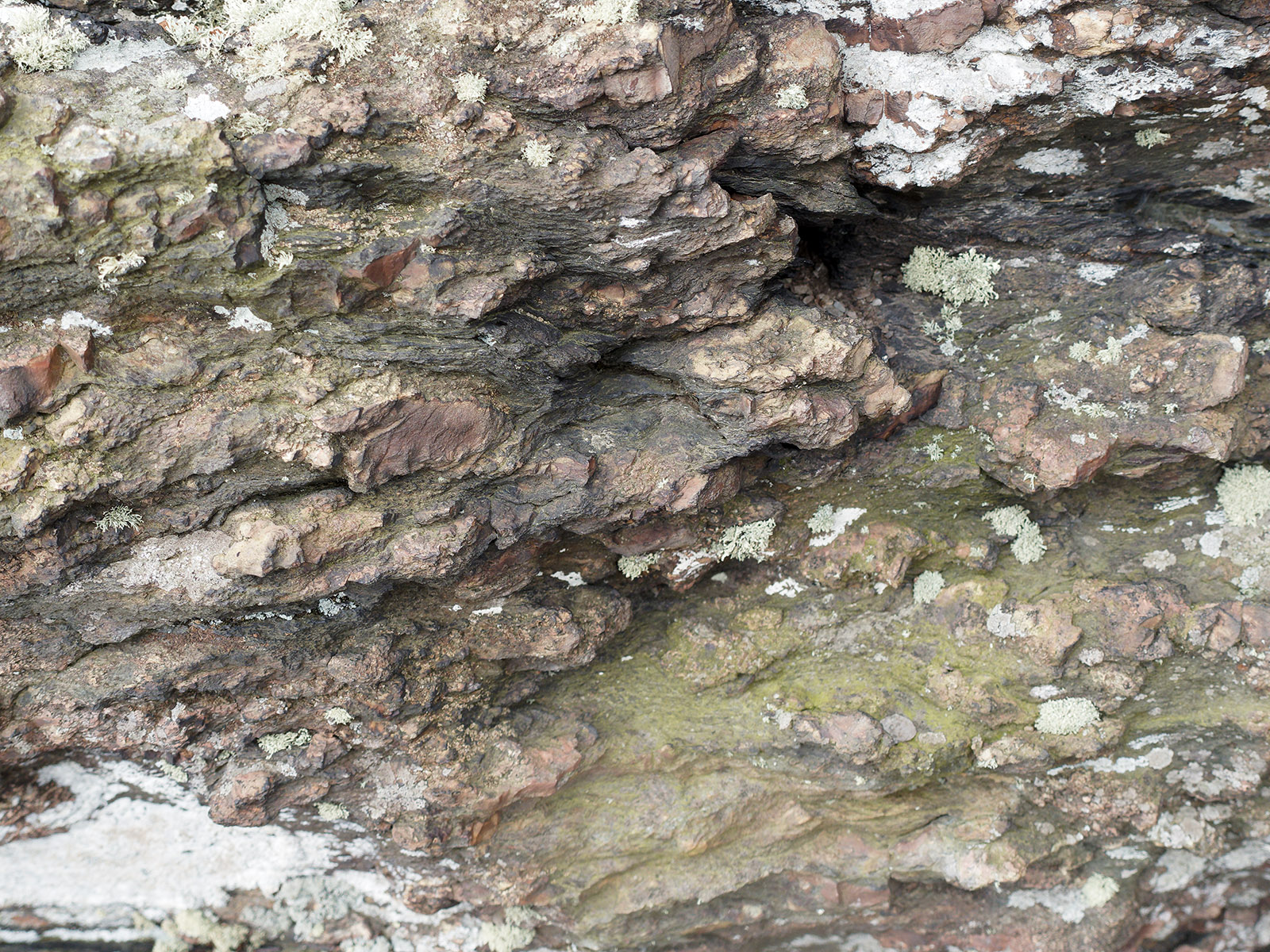 Detail of metabasaltic breccia on Little Stony Man Mountain including bonded rocks, tuff and metabasalt.