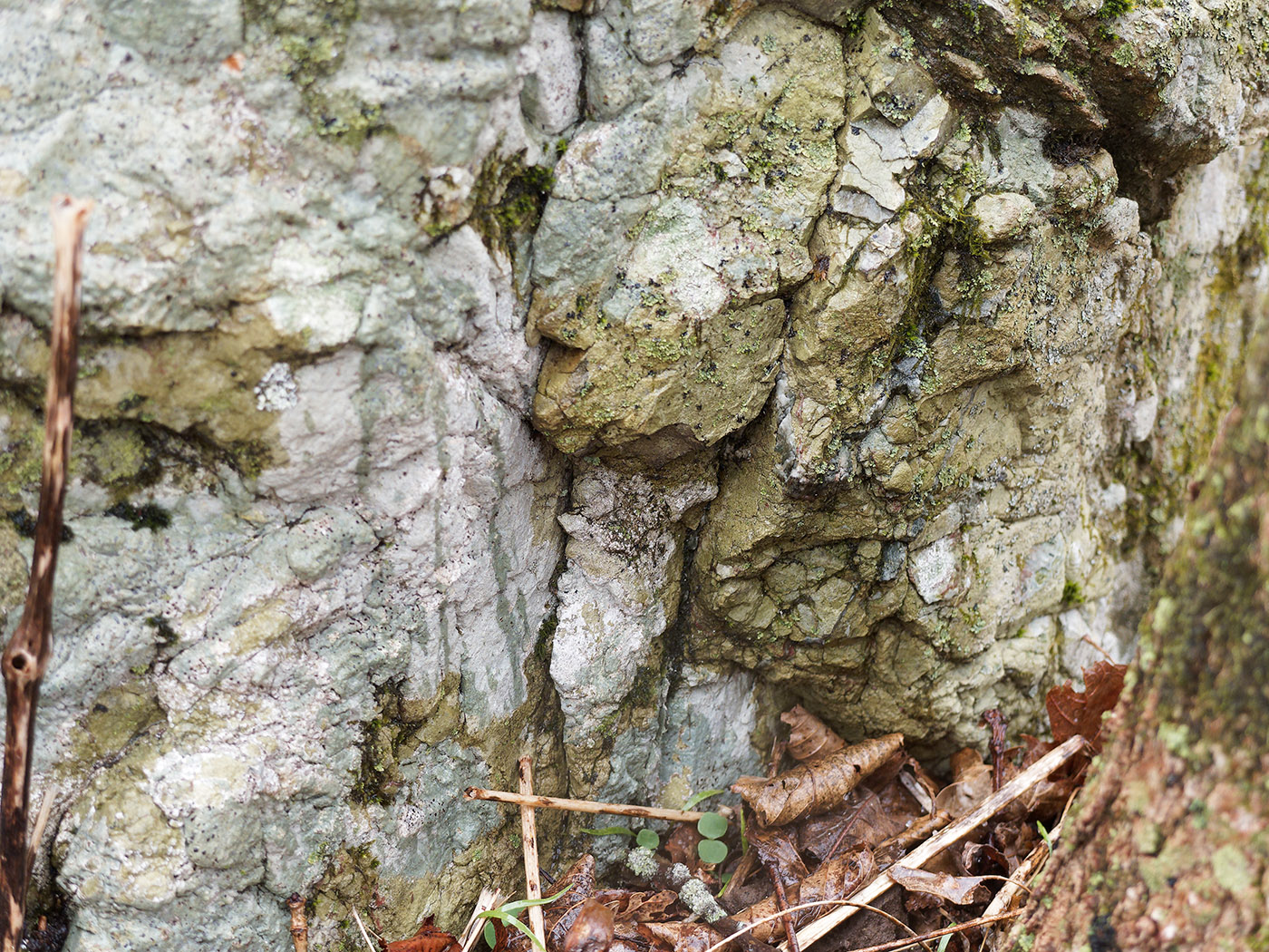 Swift run conglomerate of rocks from stream beds and lakes draining sediment bound in sandstone like matrix from fine quartz and other fine silicates.  On trail near Hawksbill Gap Park area.